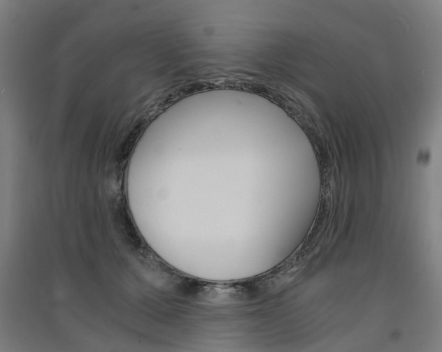 X0000091570607200708200952