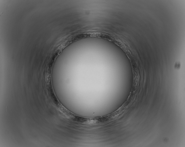 X0000091570609200708200952