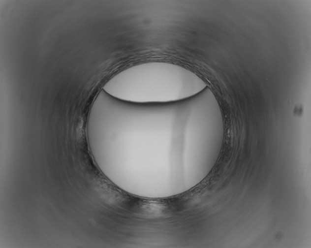 X0000091570610200708200952