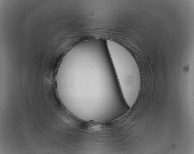 X0000091570611200708200952