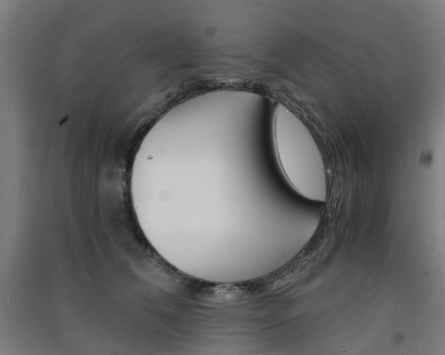 X0000091570612200708200952