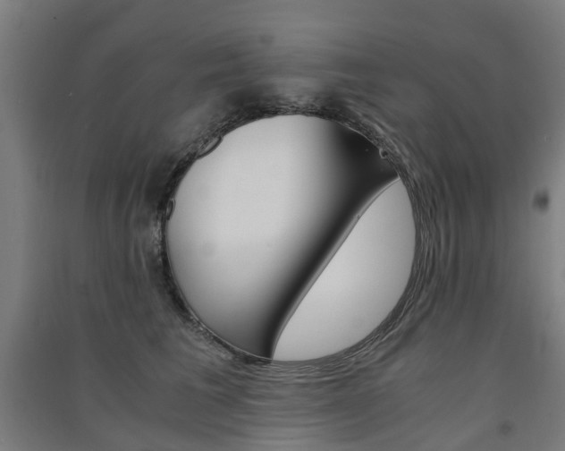 X0000091570613200708200952