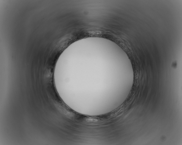 X0000091570614200708200952