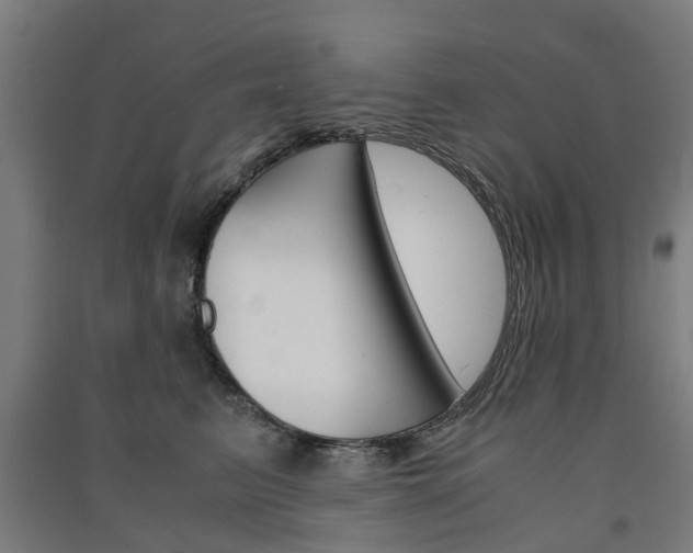 X0000091570615200708200952
