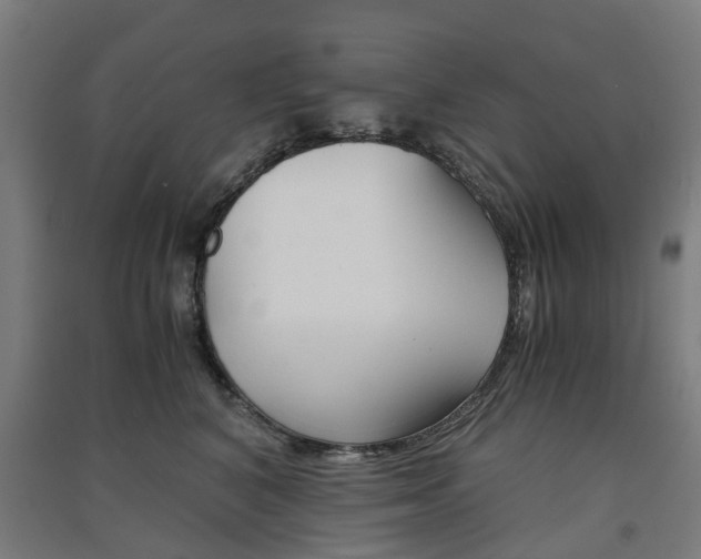 X0000091570616200708200952