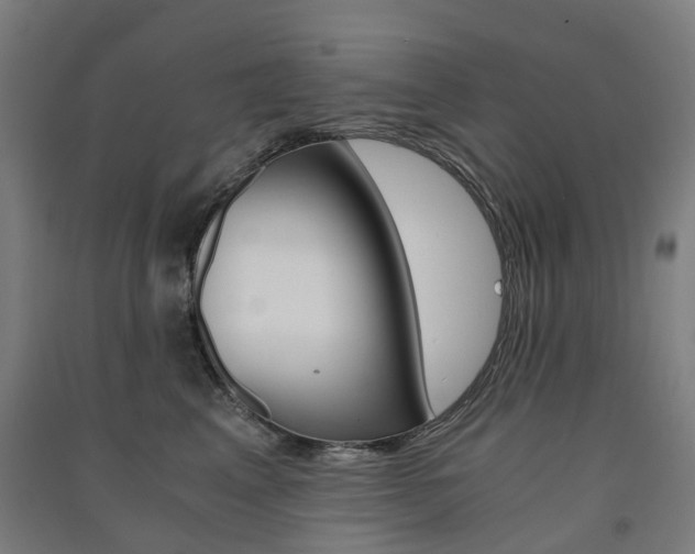 X0000091570617200708200952