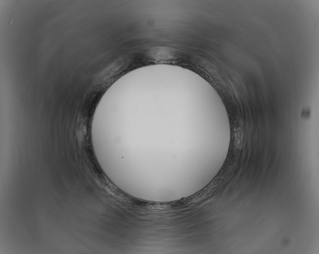 X0000091570618200708200952