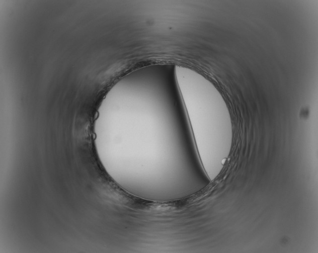 X0000091570619200708200952