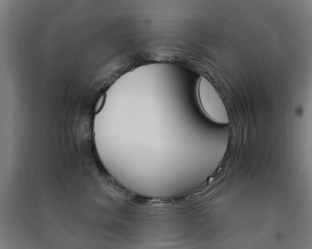 X0000091570620200708200952