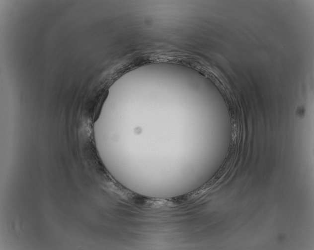 X0000091570621200708200952