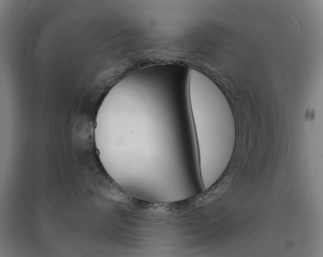 X0000091570624200708200952