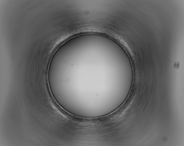 X0000091570625200708200951