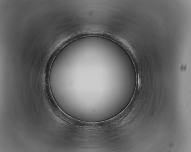 X0000091570627200708200952