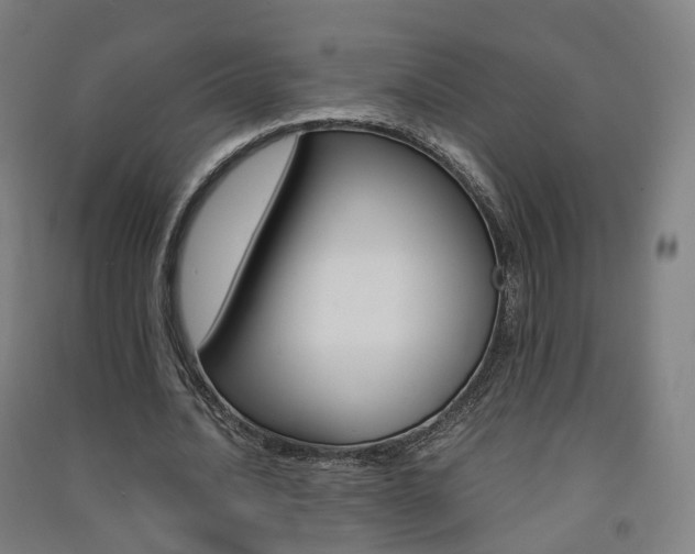 X0000091570628200708200952