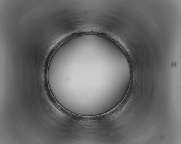 X0000091570629200708200952