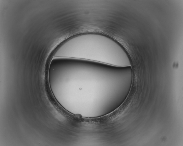 X0000091570630200708200952
