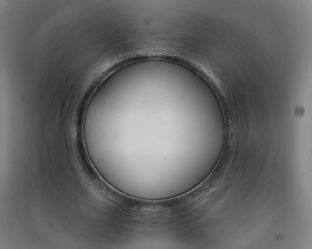 X0000091570631200708200952