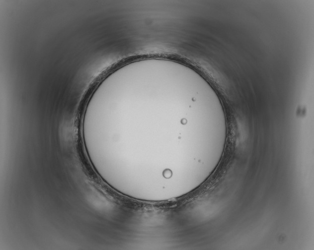 X0000091570632200708200952