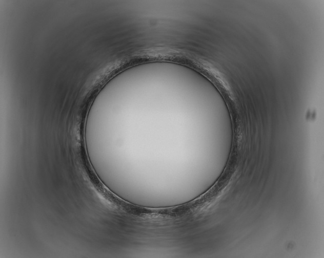 X0000091570633200708200952