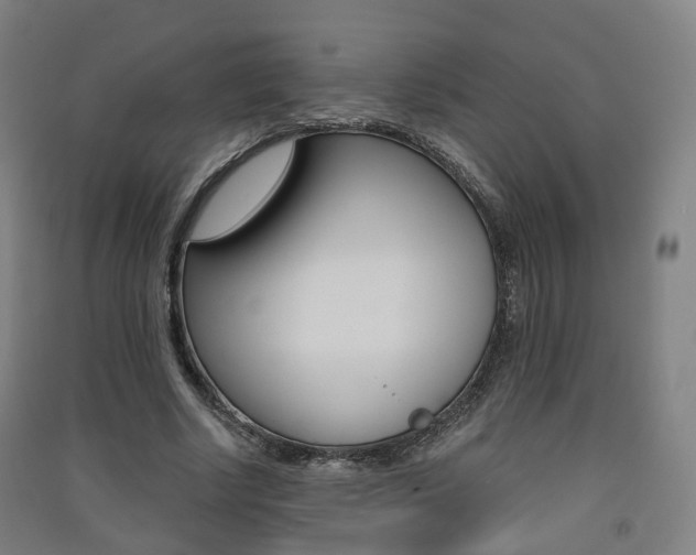X0000091570634200708200952