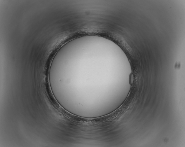 X0000091570635200708200952