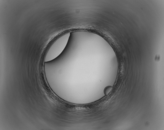 X0000091570636200708200952