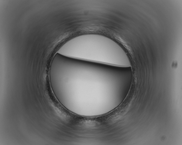 X0000091570637200708200952
