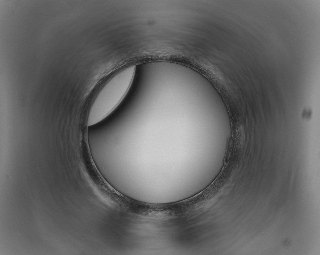 X0000091570638200708200952