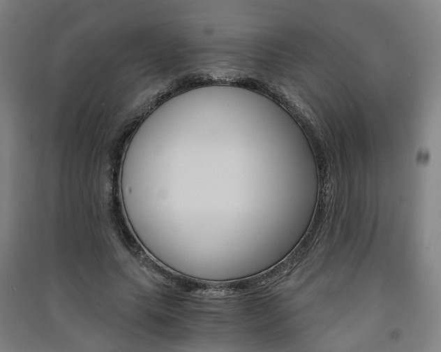 X0000091570639200708200952