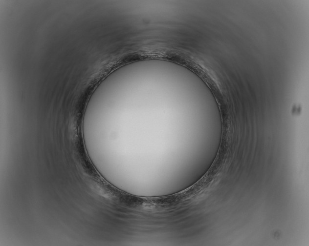 X0000091570641200708200952