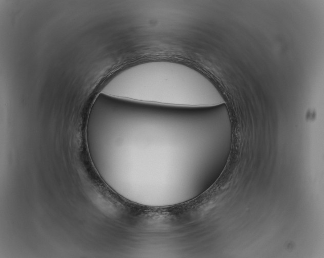 X0000091570642200708200952