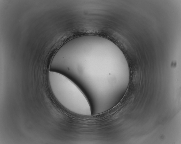 X0000091570643200708200952