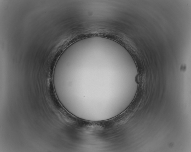 X0000091570644200708200952
