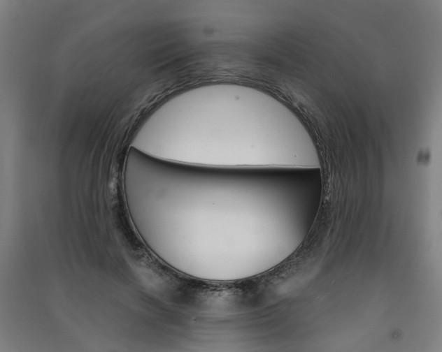 X0000091570646200708200952