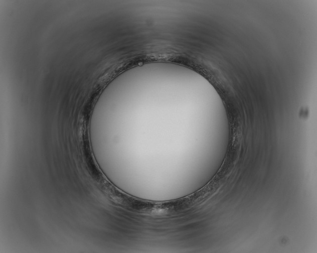 X0000091570647200708200952