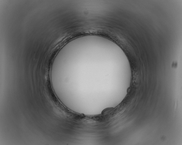 X0000091570648200708200952