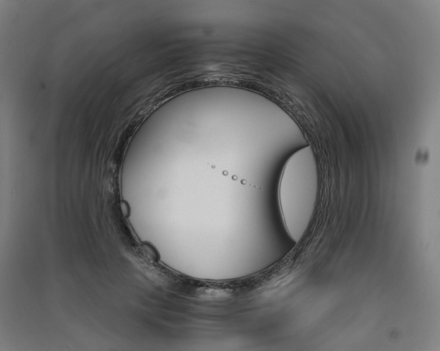 X0000091570649200708200952