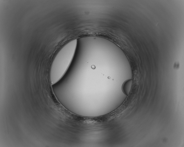 X0000091570650200708200952