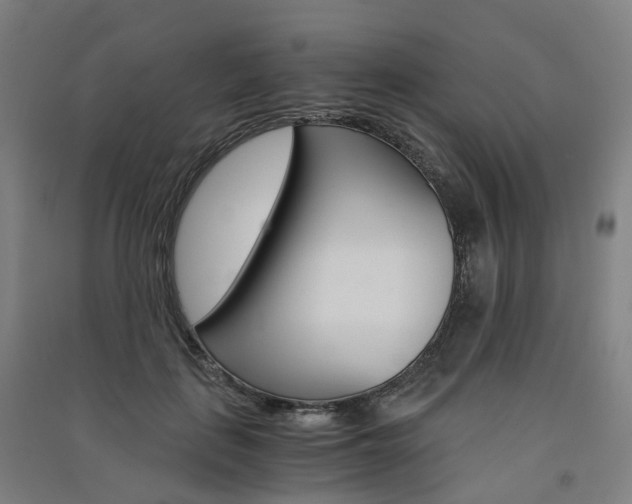 X0000091570651200708200952