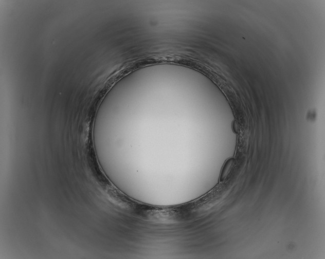 X0000091570652200708200952