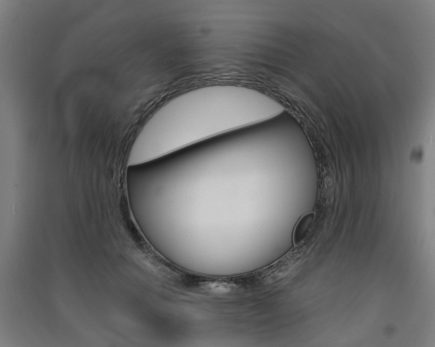X0000091570654200708200952