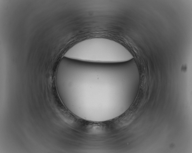 X0000091570655200708200952
