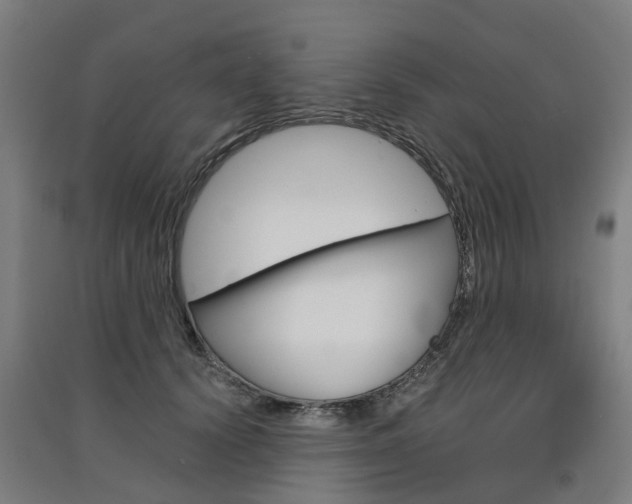X0000091570656200708200952
