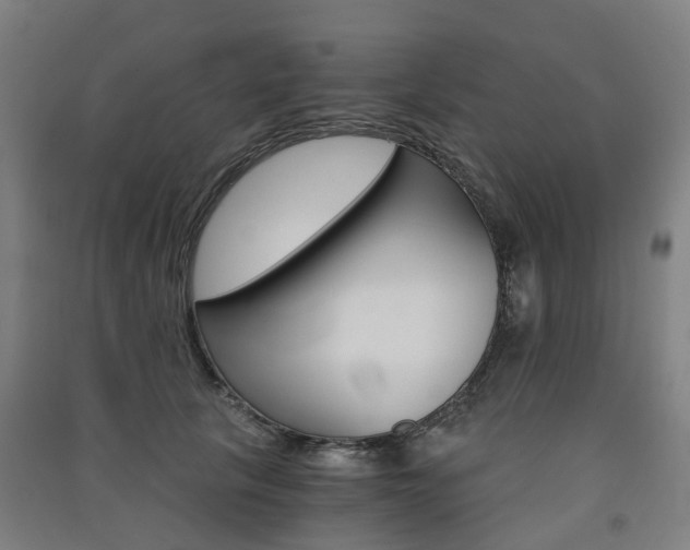 X0000091570657200708200952