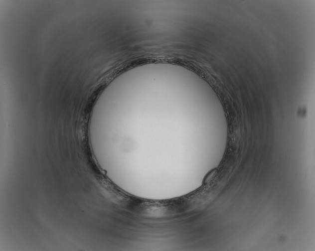 X0000091570658200708200952