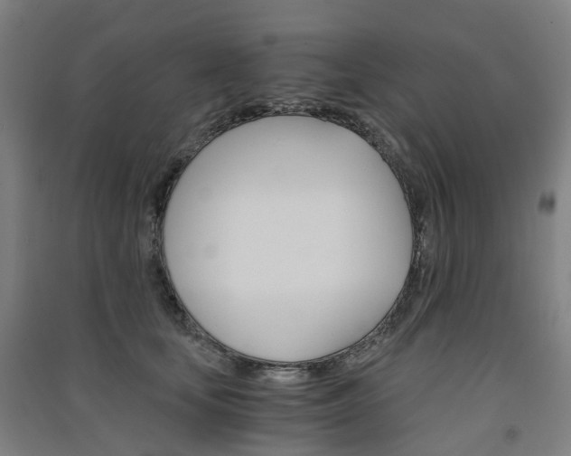 X0000091570659200708200952