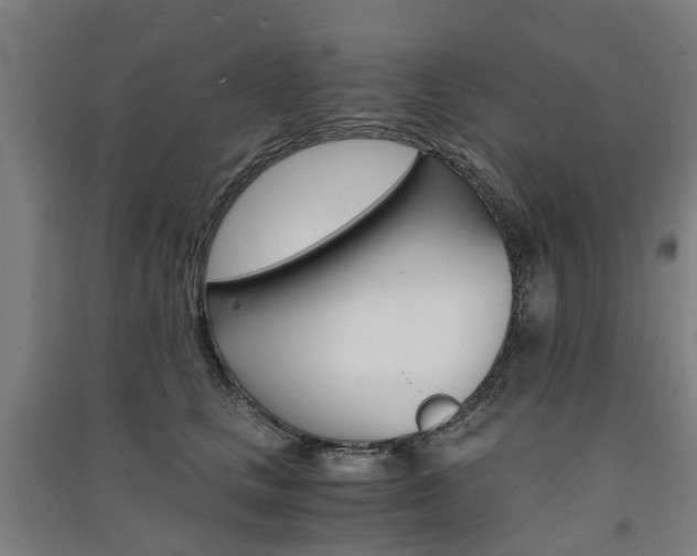 X0000091570661200708200952