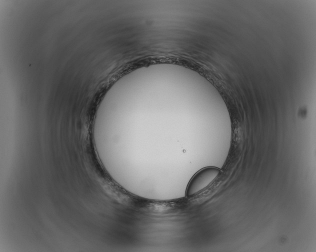 X0000091570662200708200952