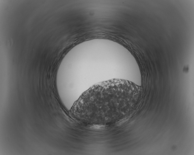 X0000091570664200708200952