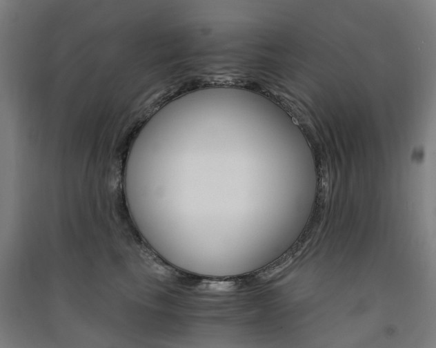X0000091570665200708200952